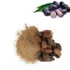 Vanasri Jamun Seed