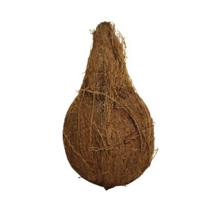 Whole Coconut/pc