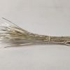 Dhurva Grass 25g
