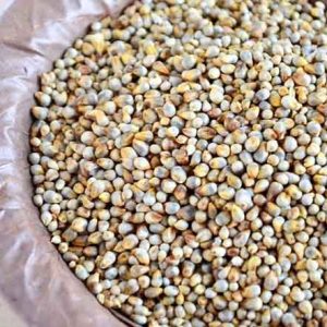 Sharin Pearl Millet 2lbs