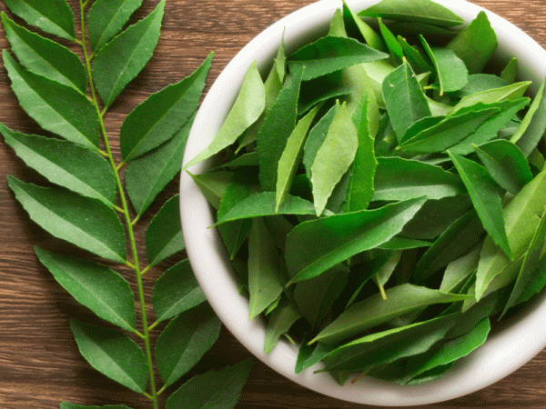 Curry Leaf /pc