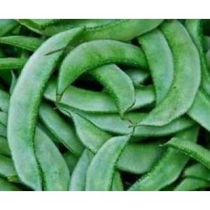 Flat Beans/ Valor Beans /lb
