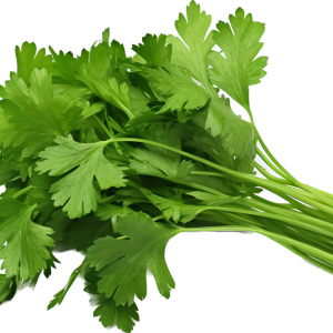 Cilantro /pc