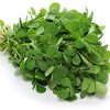 Fresh Methi/Bunch