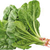 Spinach/bunch
