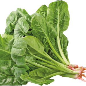 Spinach/bunch