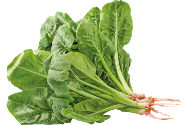 Spinach/bunch