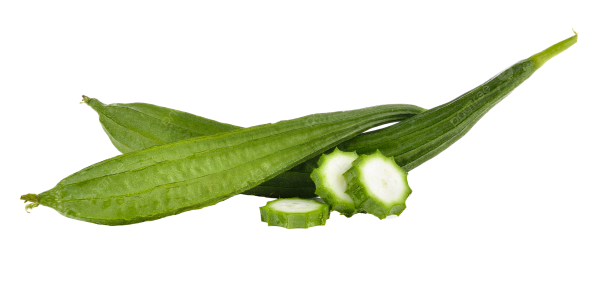 Ridge Gourd /lb