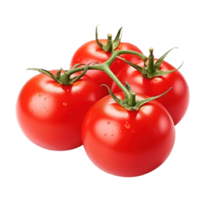 Roma Tomato/kg